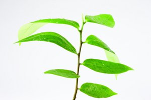 促销活动